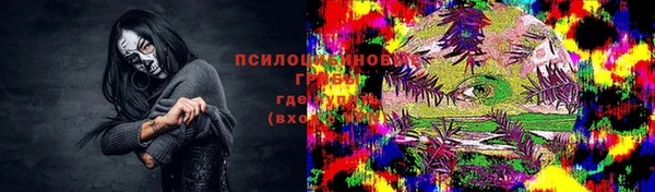 ГАЛЛЮЦИНОГЕННЫЕ ГРИБЫ Снежногорск