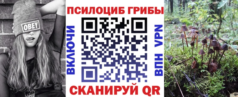 где купить наркоту  Артёмовский  Псилоцибиновые грибы прущие грибы 